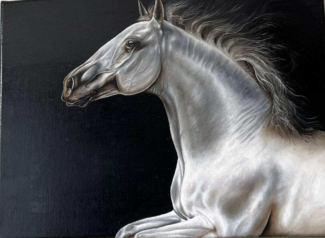 Quarter horse - 30x40cm
