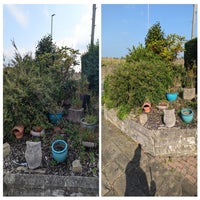 20240906_160606-collage-standard.jpg