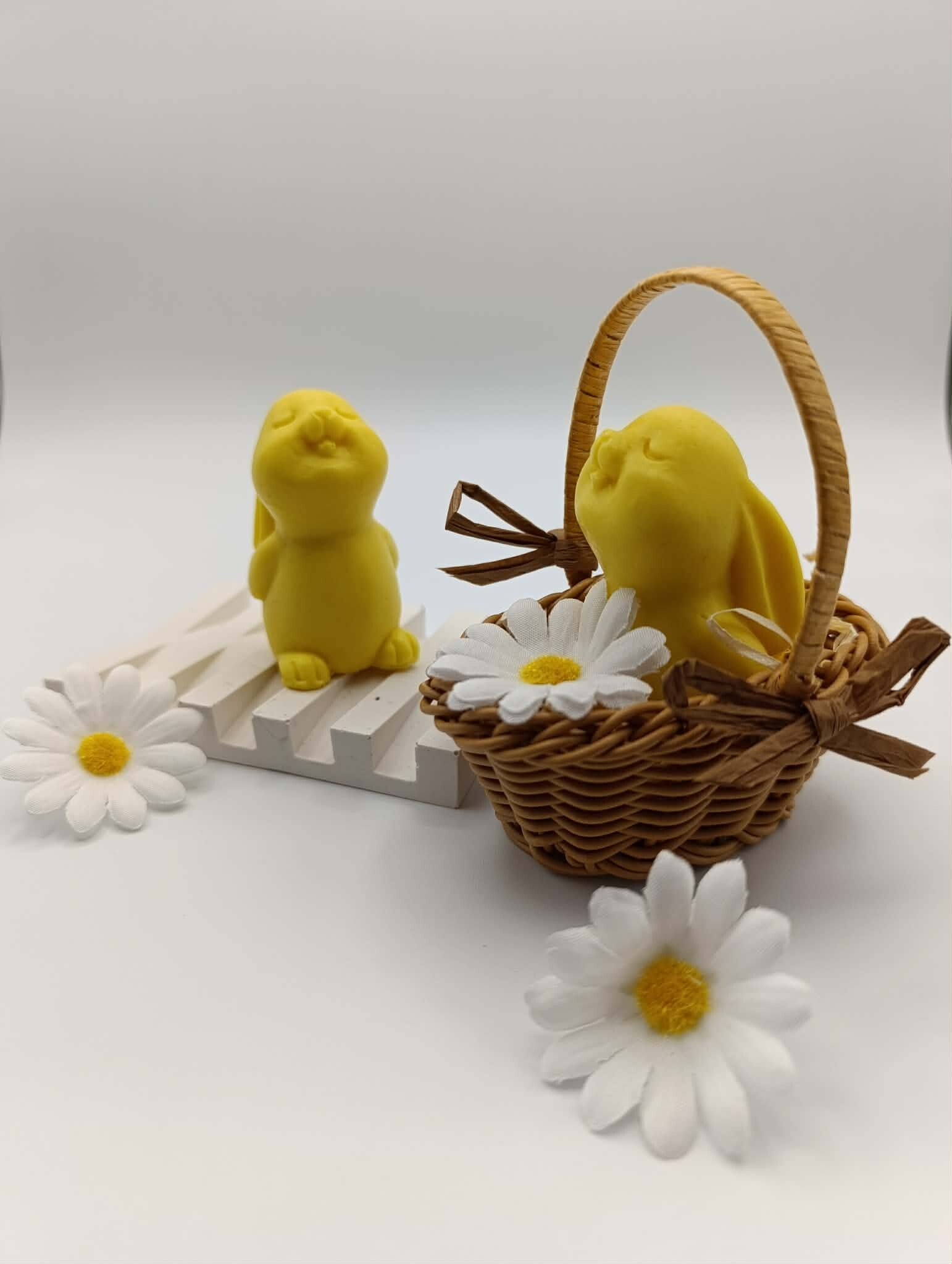 Lapin de pâques Tropical