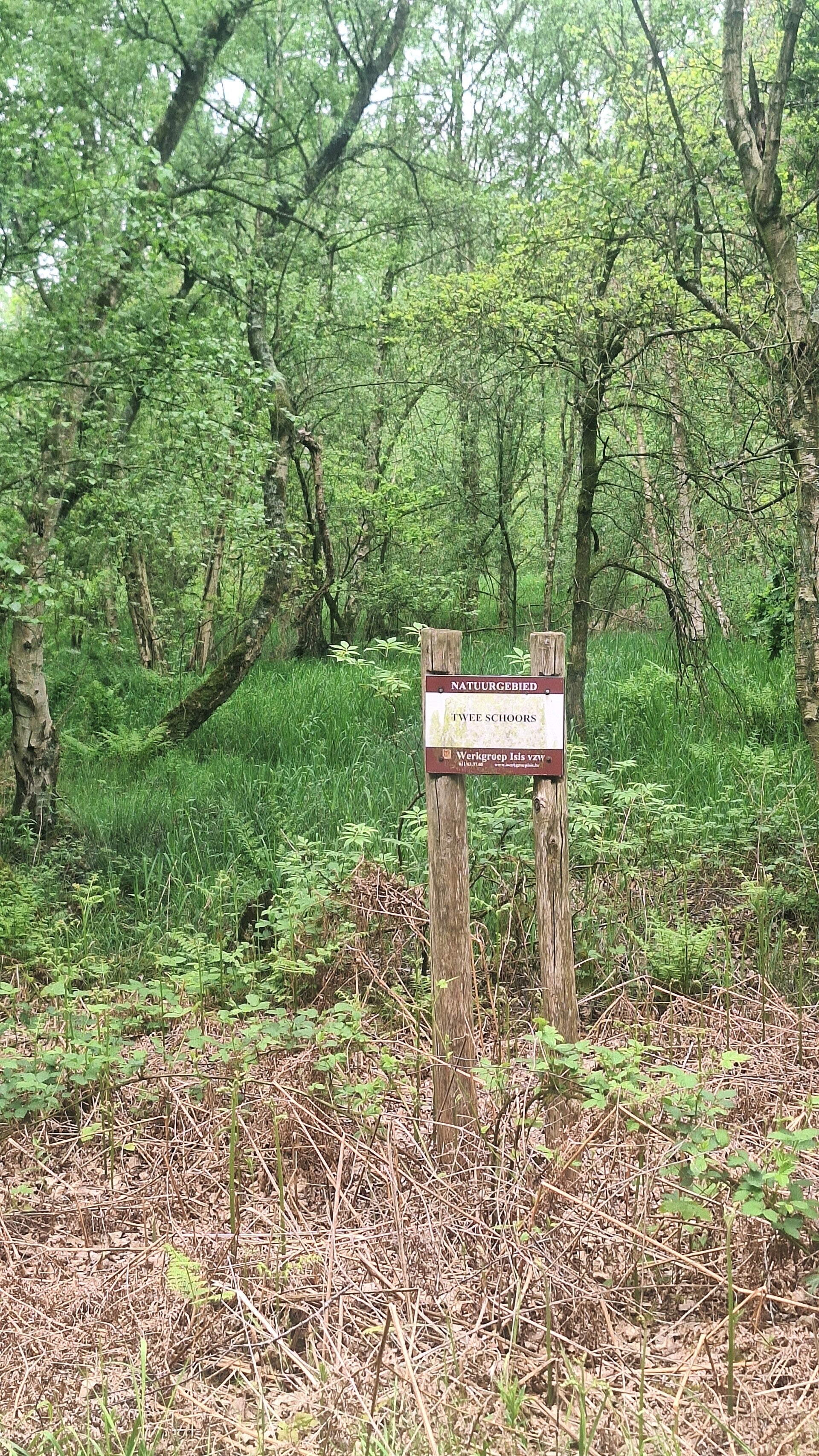 Wandelen in Tessenderlo aan Gerhagenloop