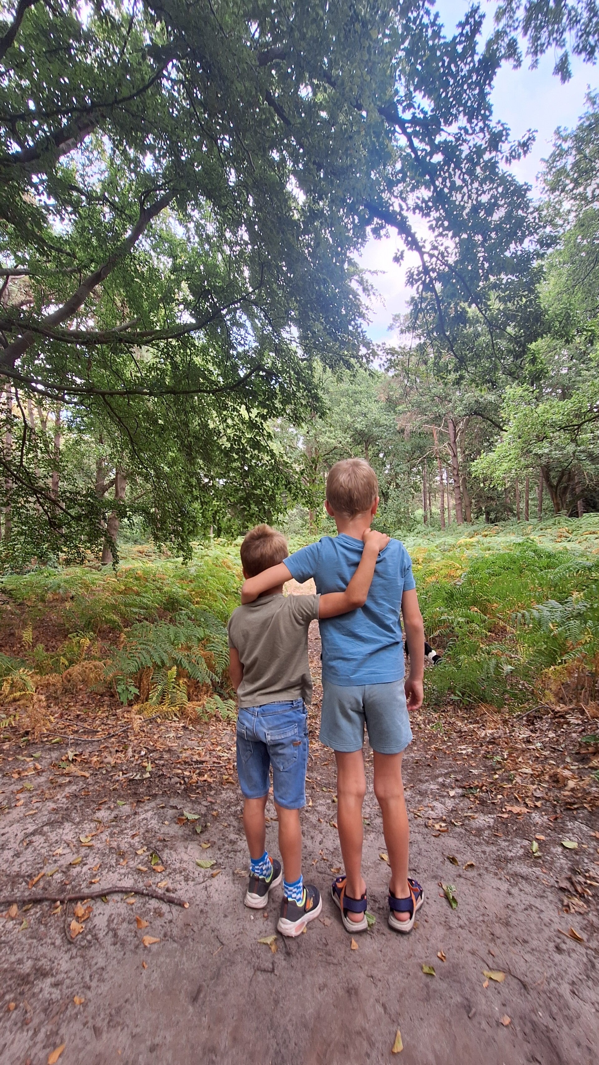 Wandelen in Kapellen