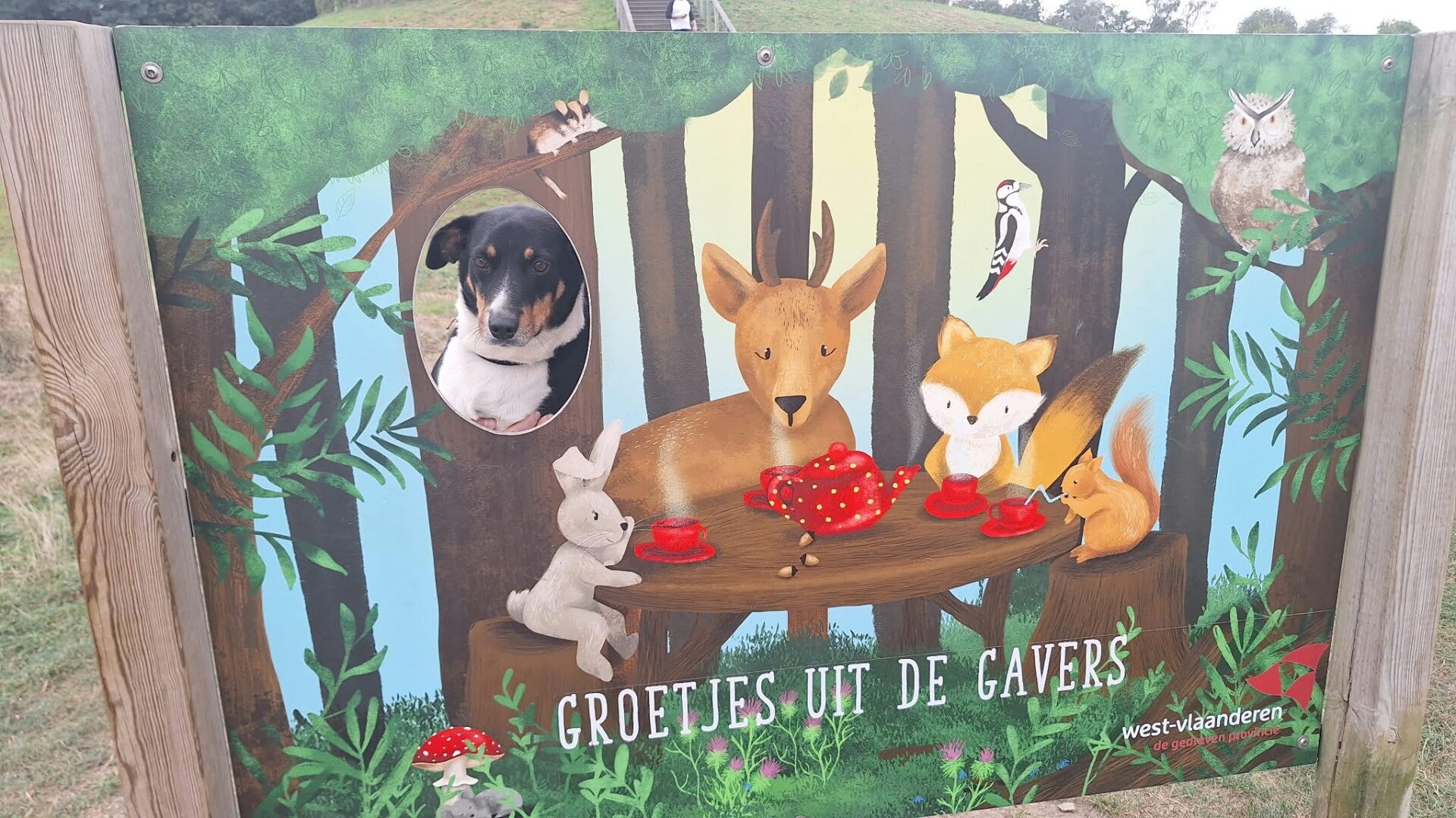 Wandelen in Vrijbroekpark van Heist-op-den-Berg