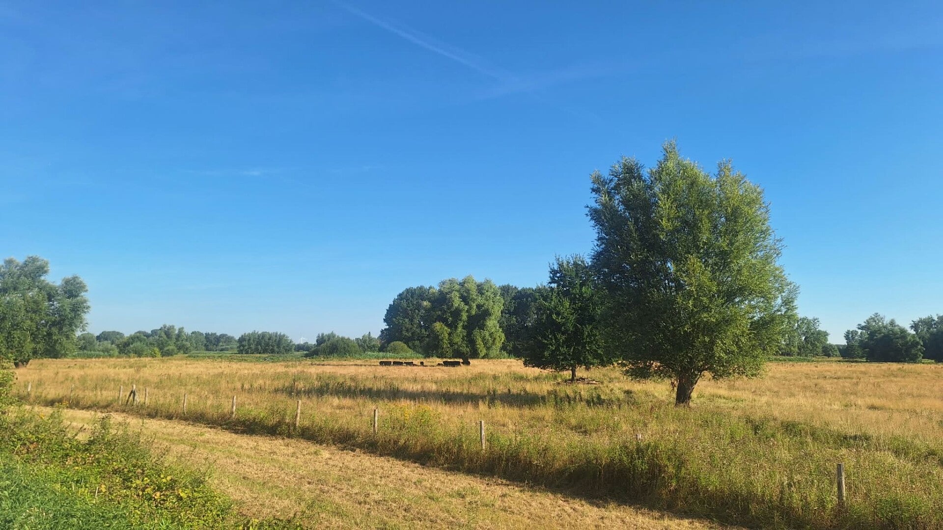 Wandelen in Vrijbroekpark van Heist-op-den-Berg