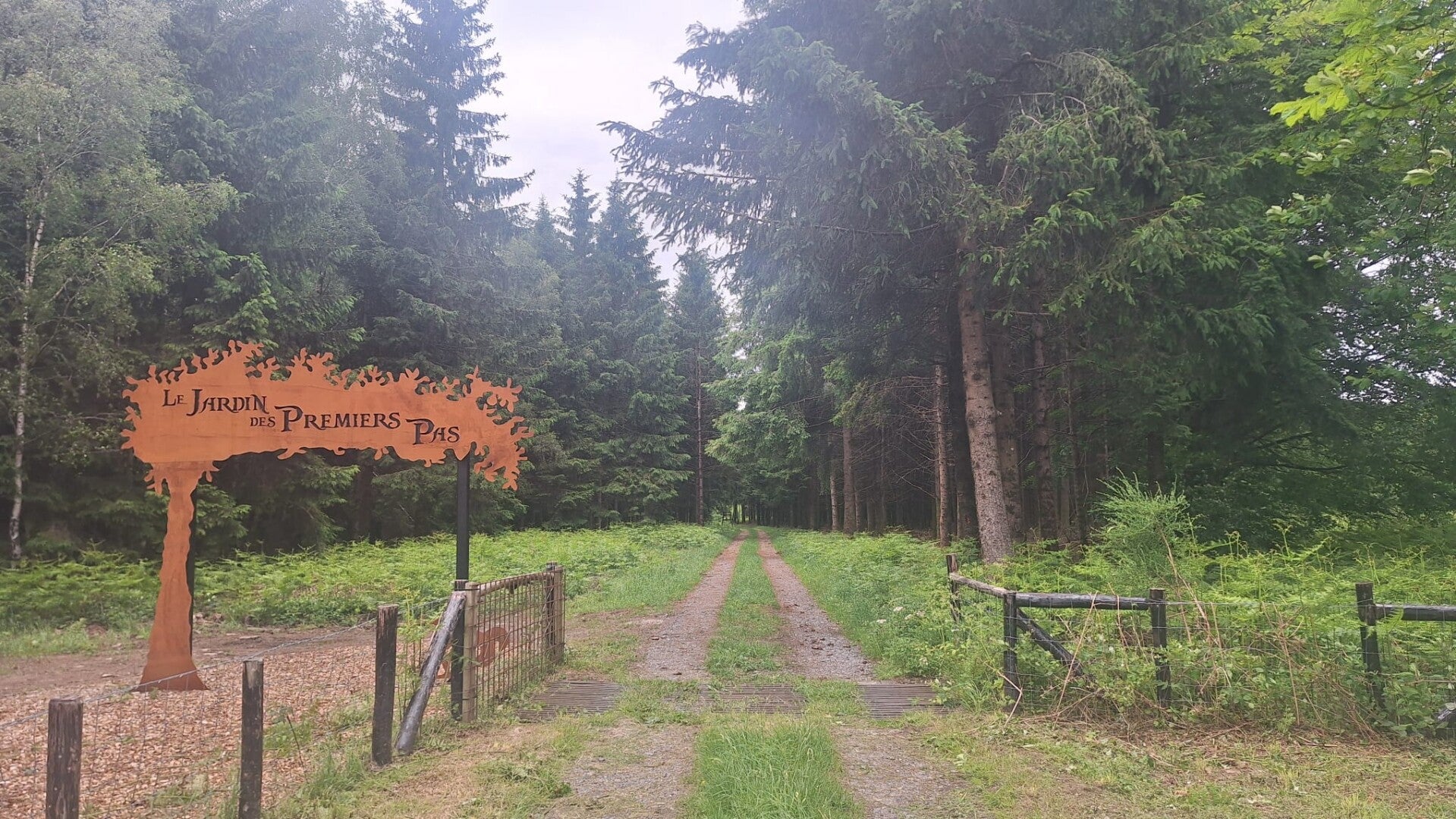 Wandelen in Vrijbroekpark van Heist-op-den-Berg