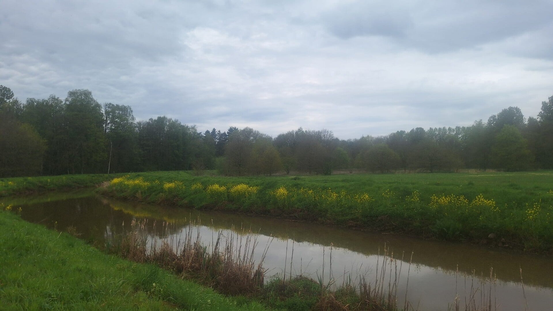 Wandelen in Vrijbroekpark van Heist-op-den-Berg