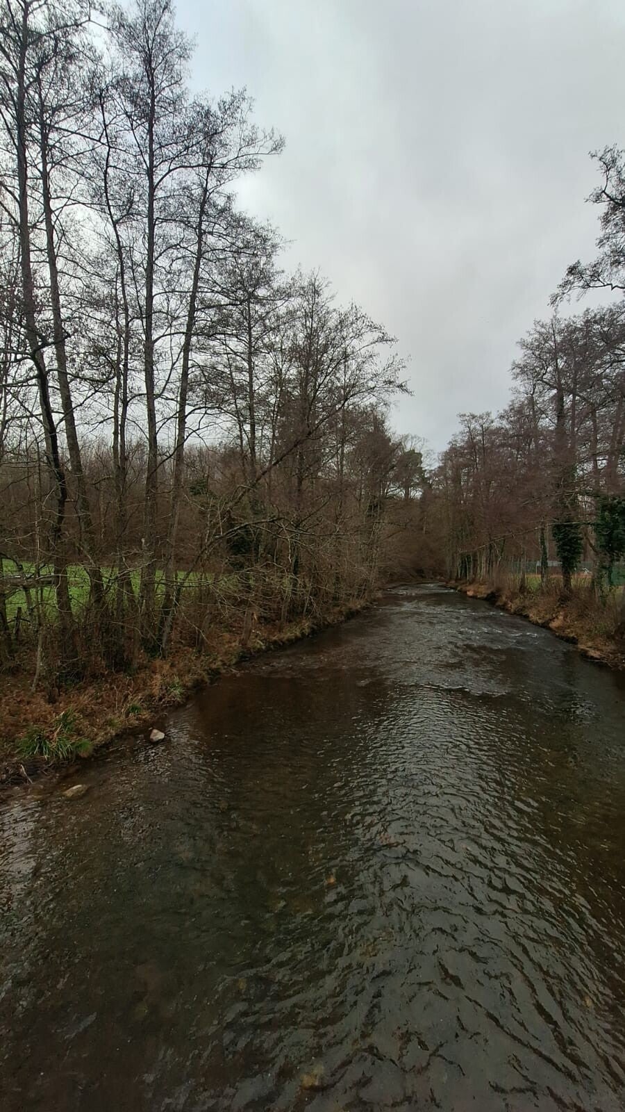 Wandelen in Couvin