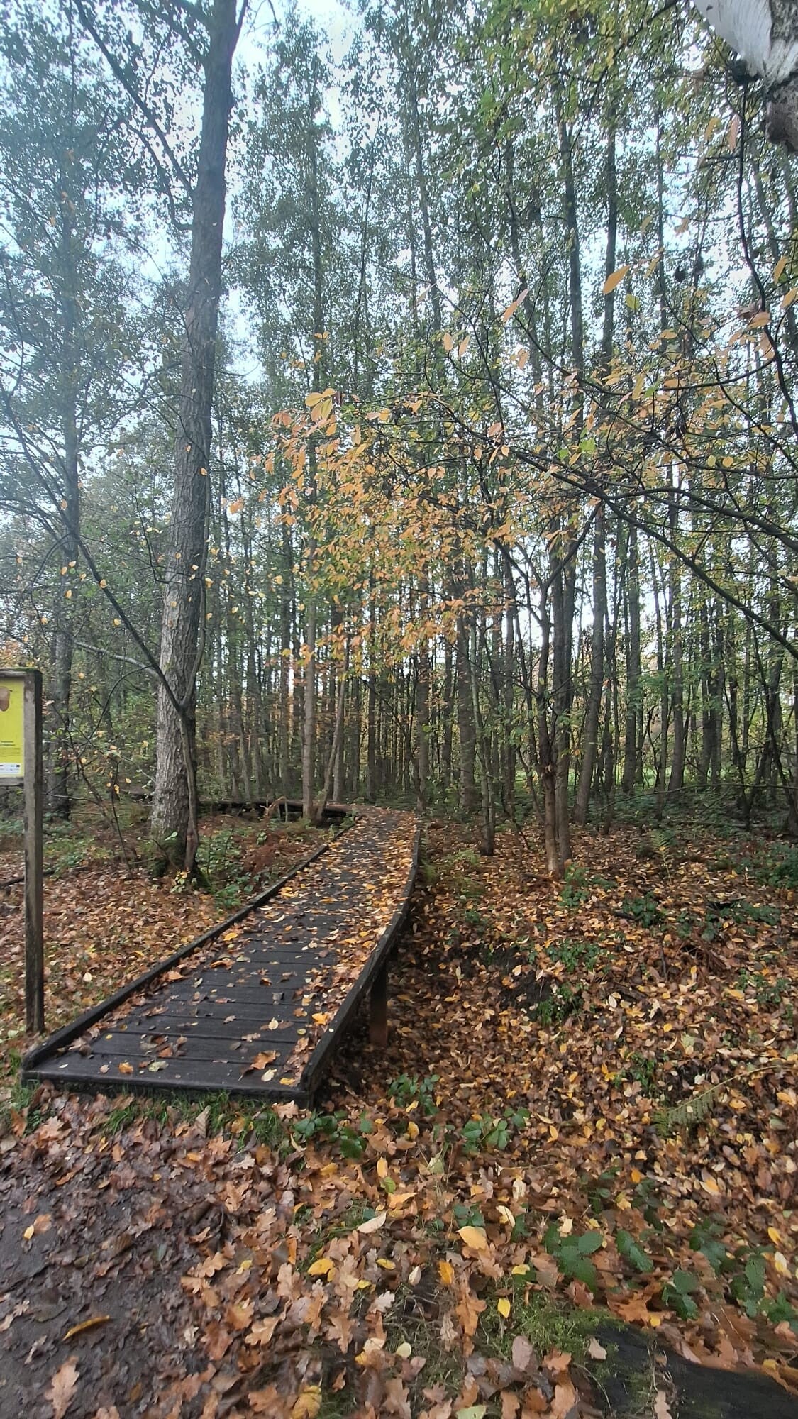Wandelen in Hasselt
