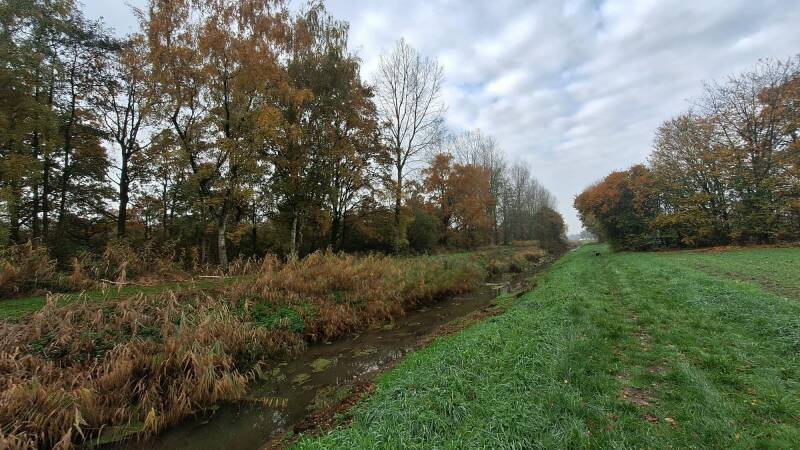 Wandelen in Kinrooi