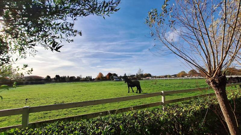 Wandelen in Heppen Leopoldsburg