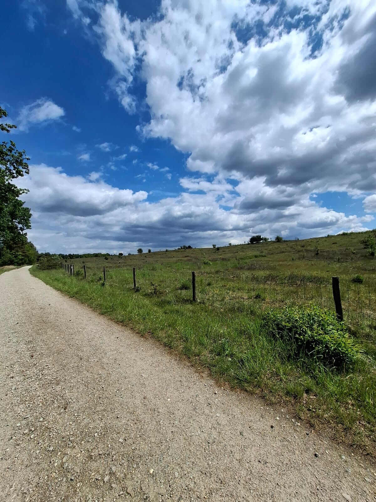 Wandelen in Hasselt