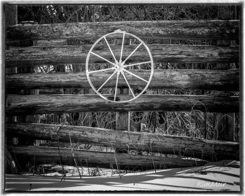 Wheel on wood fence black and white Standard