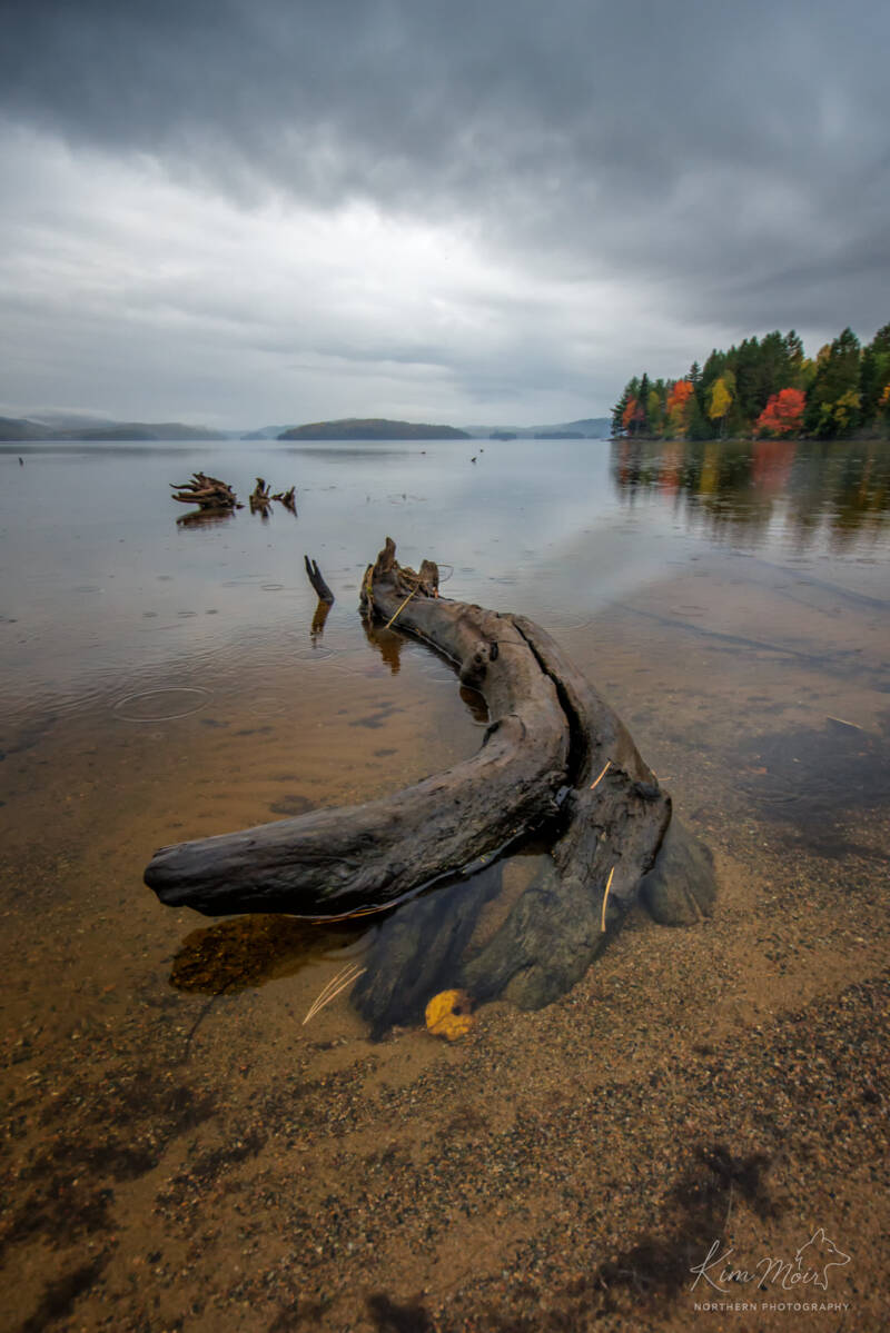 Windy Lake Beach - Stick Fall