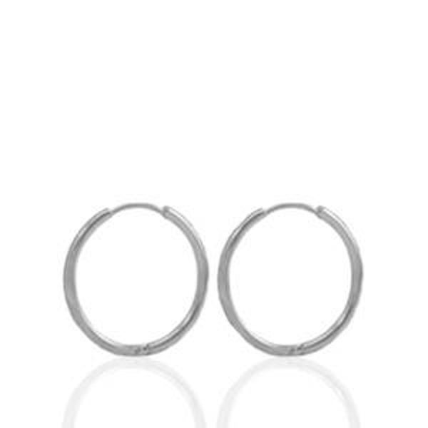 Oorbellen Stainless steel 15mm zilver