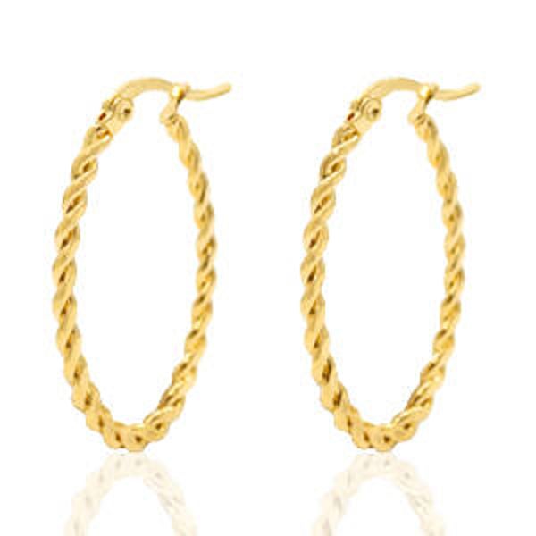 Oorbellen Stainless steel creolen oval twist goud