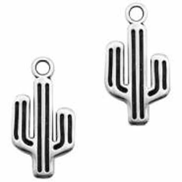 DQ bedel grote cactus