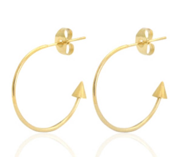 Stainless steel creolen Goud