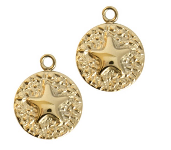 Stainless steel coin star gold rvs 18x14mm