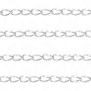 RVS verlengketting (zilver) 20cm