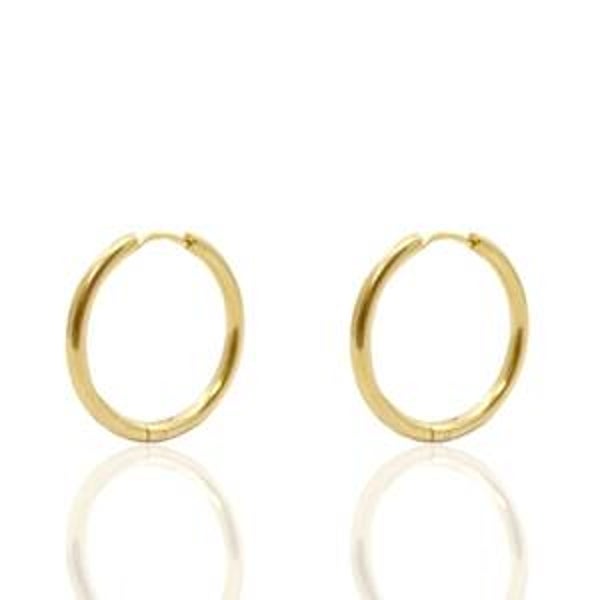 Oorbellen Stainless steel 17mm goud