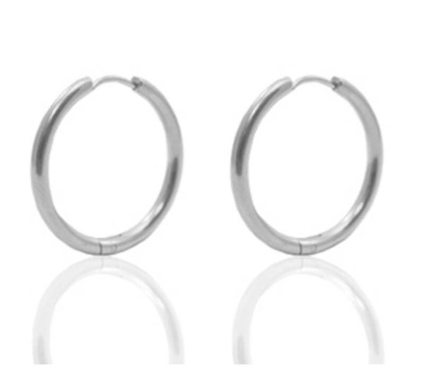 Oorbellen stainless steel (rvs) 20mm