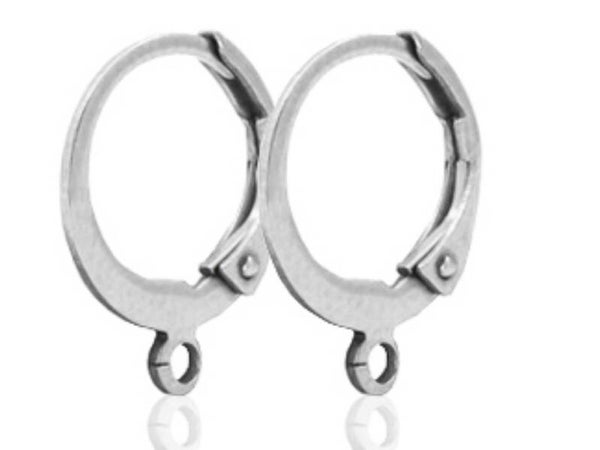 Stainless steel oorringen nikkelvrij