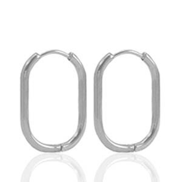 Stainless steel oorbellen 18x13mm