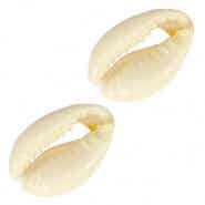 Kauri schelp, Light Sunshine Yellow