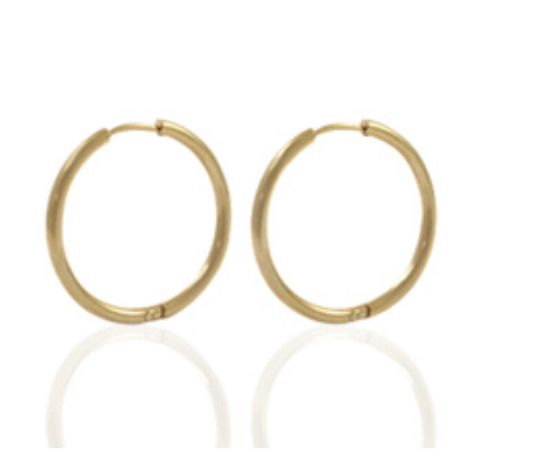 Stainless steel oorringen 14mm Goud