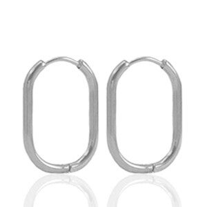 Stainless steel oorbellen 18x13mm