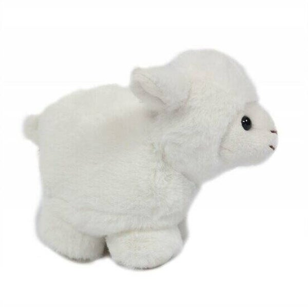 8715964166557 - Knuffel - Schaap