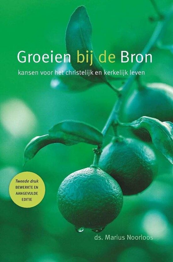 Groeien bij de Bron - Marius Noorloos