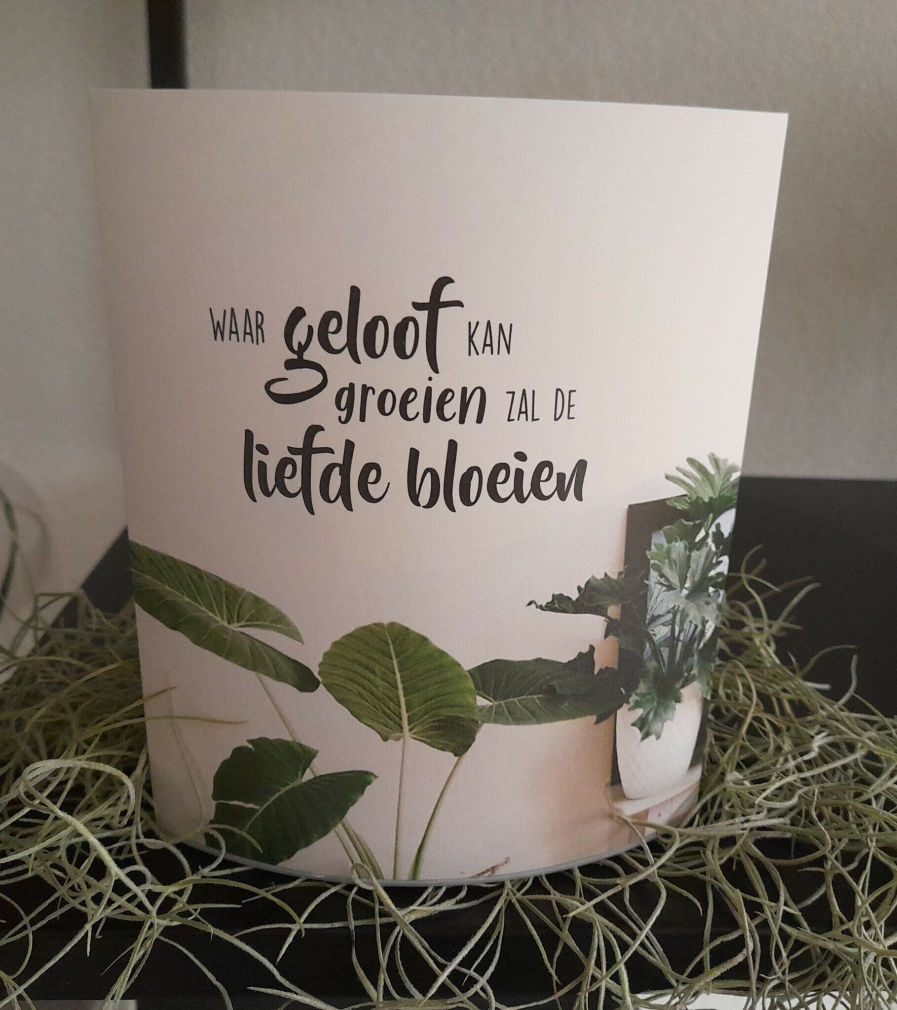 2019379 - Lichtje voor jou - Waar geloof kan groeien