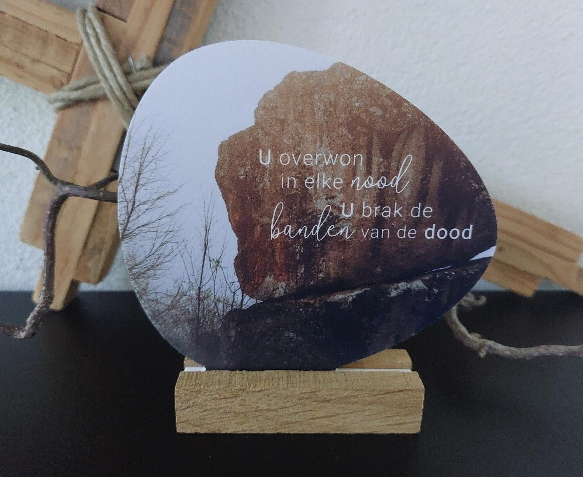 2024129 - Rotsje voor jou - U overwon de banden van de dood