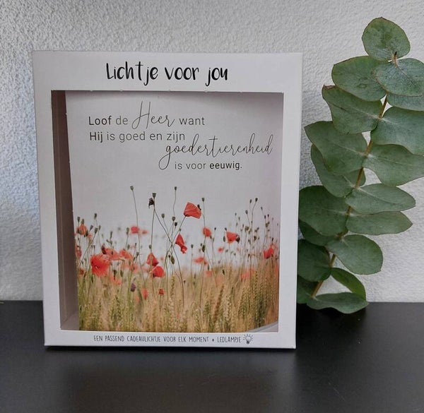 2019398 - Lichtje voor jou - Loof de Heer...