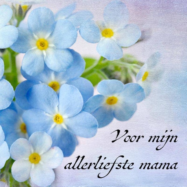 9789057415920 - Notitieboek - Voor mijn allerliefste mama