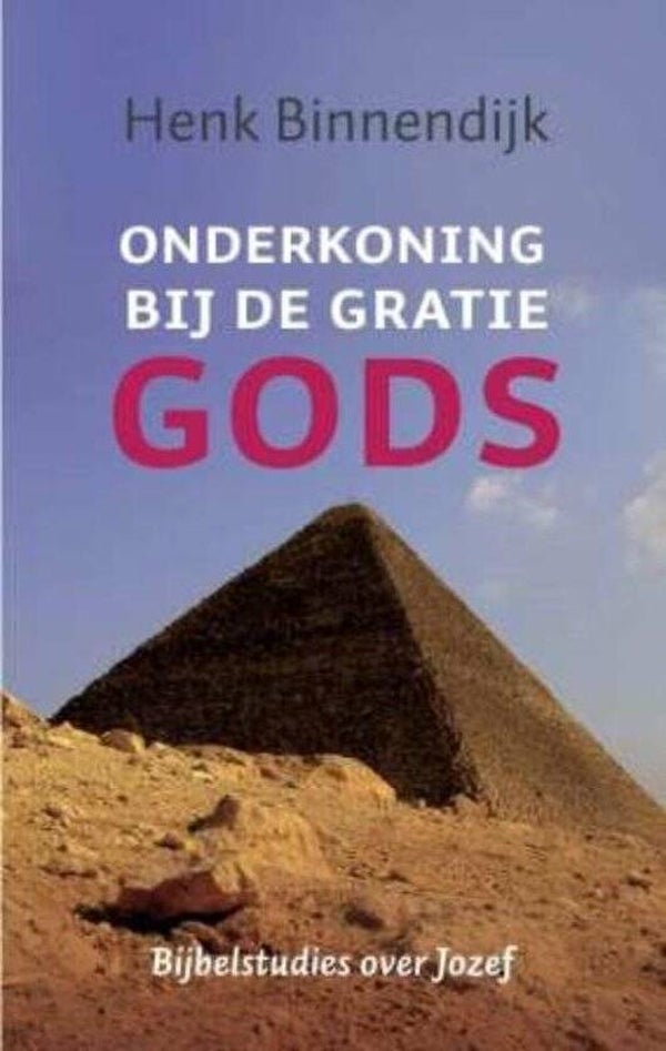 Onderkoning bij de gratie Gods - Henk Binnendijk