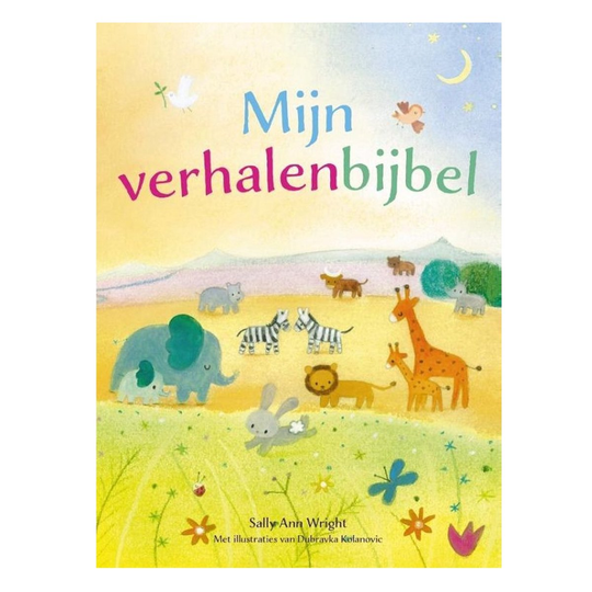 Mijn verhalenbijbel - Sally Ann Wright