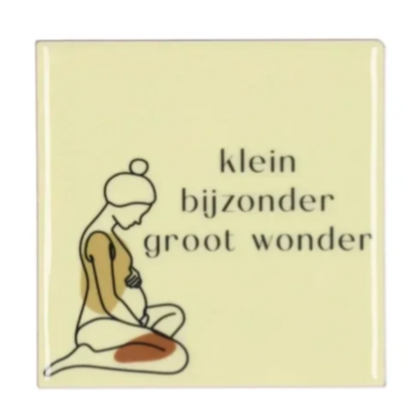 121114106 - Tegeltje - Klein bijzonder groot wonder