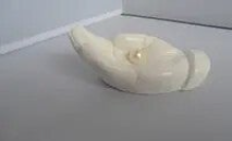 1211852 - Beeld - Hand met parel wit