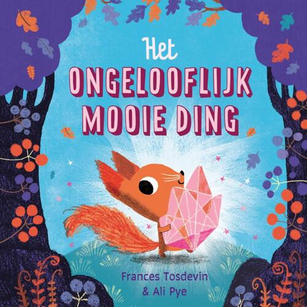 Het ongelooflijk mooie ding - Frances Tosdevin en Ali Pye