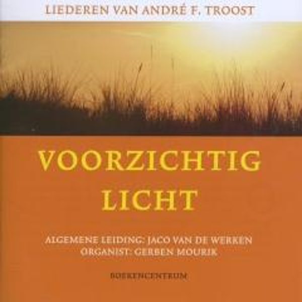 Voorzichtig licht - Andre F. Troost
