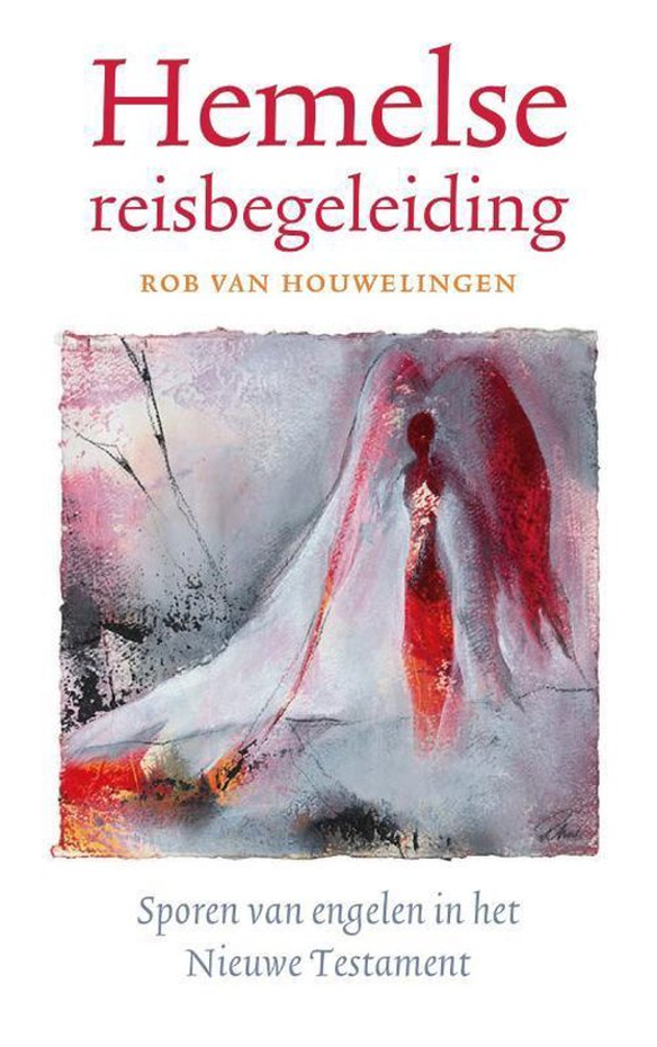 Hemelse reisbegeleiding - Rob van Houwelingen
