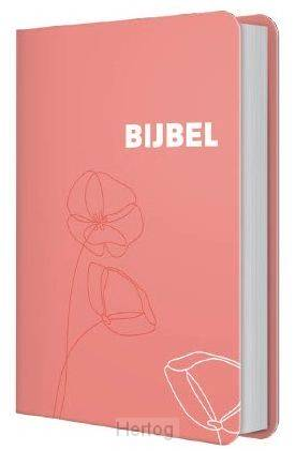 Bijbel HSV - hardcover vrouw