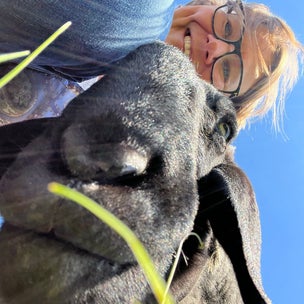 tiergestütztes Entspannen Schafe Marchfeld