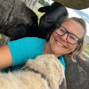 tiergestütztes Entspannen Schafe Marchfeld
