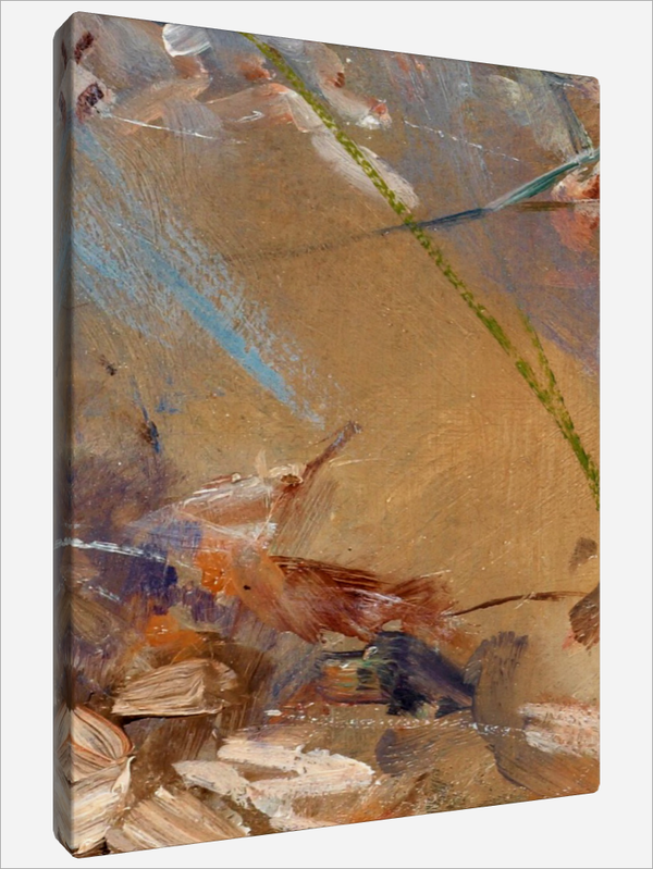 "Shallow Water"