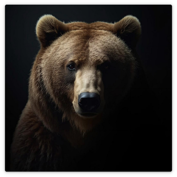 Braunbär