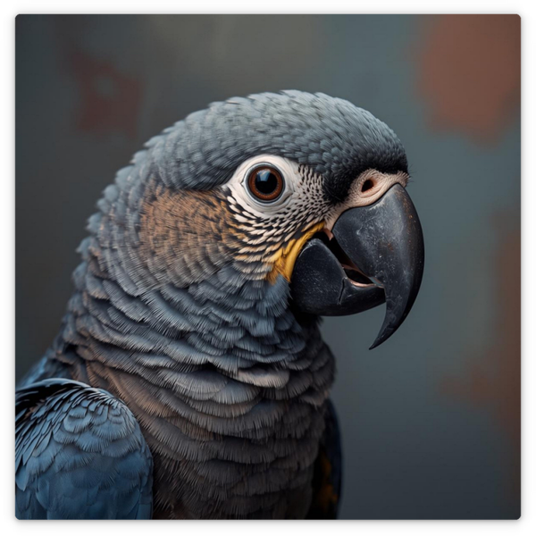 Graupapagei