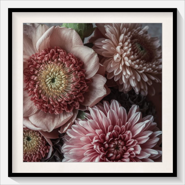 Dahlienblüten