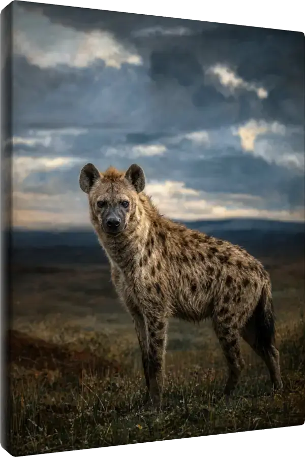 Leinwand Kunstdruck | Wildlife